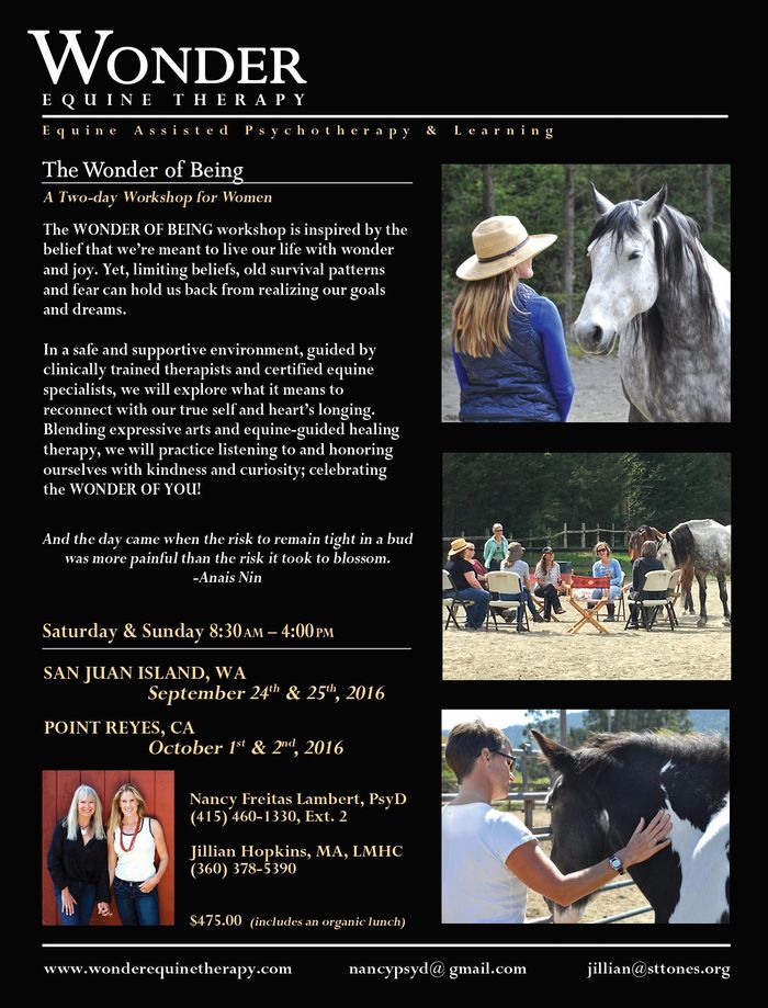 Workshop flyer